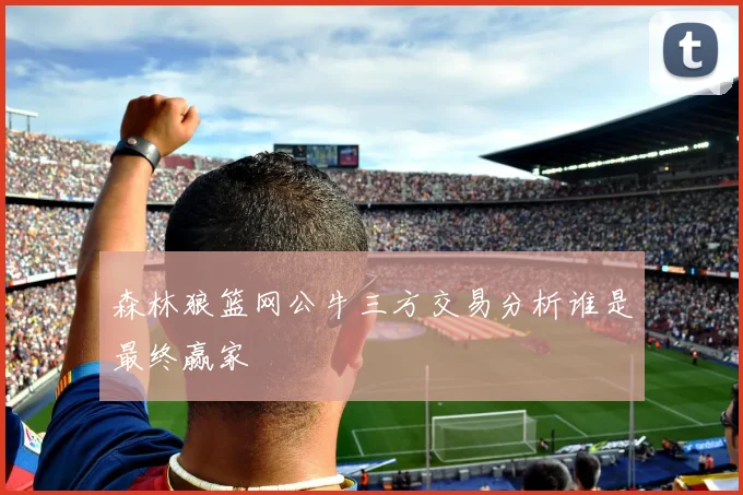 森林狼篮网公牛三方交易分析谁是最终赢家