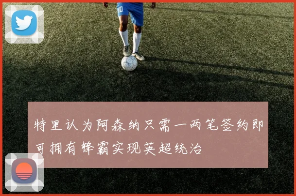 特里认为阿森纳只需一两笔签约即可拥有锋霸实现英超统治